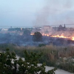 Incendio nella periferia di Trani