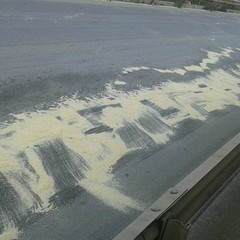 Trani soccorso interviene al Ponte dei sospiri