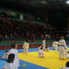 Trofeo di Bari, ancora medaglie per la Judo Trani