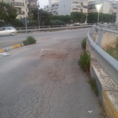 Viale Germania, manto stradale disastrato e ricco di buche