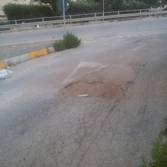 Viale Germania, manto stradale disastrato e ricco di buche