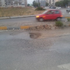 Viale Germania, manto stradale disastrato e ricco di buche