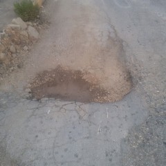 Viale Germania, manto stradale disastrato e ricco di buche