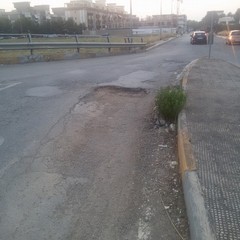 Viale Germania, manto stradale disastrato e ricco di buche
