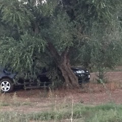 Incidente Andria Bisceglie