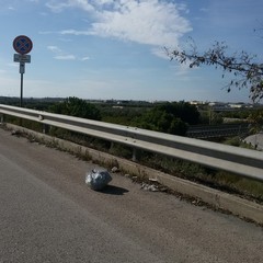 Sacchi d'immondizia ad ogni imbocco della 16 bis