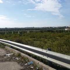 Sacchi d'immondizia ad ogni imbocco della 16 bis