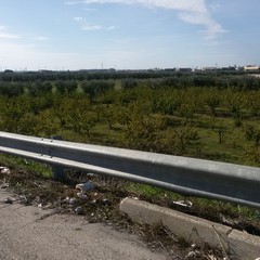 Sacchi d'immondizia ad ogni imbocco della 16 bis