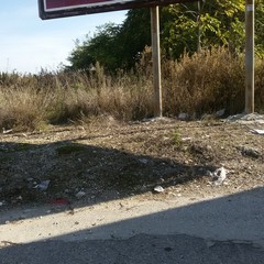 Sacchi d'immondizia ad ogni imbocco della 16 bis