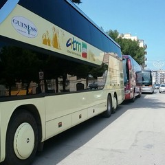 Caos bus turistici in via Bovio e Piazza Gradenico