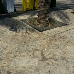 Sporcizia in piazza Teatro