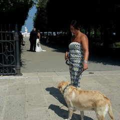 Cani all'interno della villa comunale: ora si può