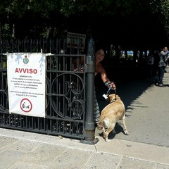 Cani all'interno della villa comunale: ora si può