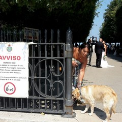 Cani all'interno della villa comunale: ora si può