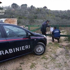 Il Noe di Bari sequestra due cave a Trani: le foto