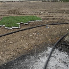 Amianto a Pozzopiano