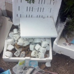 Rifiuti in zona Boccadoro