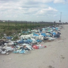 Rifiuti in zona Boccadoro