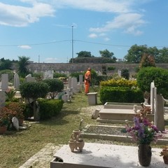 Cimitero comunale, operai all'opera per ripulire il cimitero