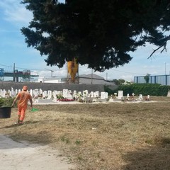 Cimitero comunale, operai all'opera per ripulire il cimitero