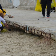 Spiagge e fondali puliti