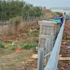 Camion con angurie si ribalta sull'A14 tra Andria e Trani