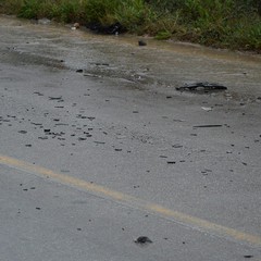 Incidente auto sulla Andria - Trani