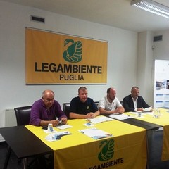 Mare di Trani, entro i limiti gli inquinanti rilevati