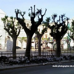 Rogo nella notte in piazza San Michele, distrutta una giostrina