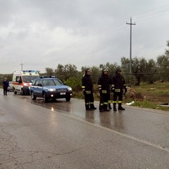 Incidente strada provinciale Andria-Bisceglie