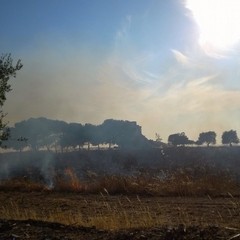 Vasto incendio in un terreno agricolo