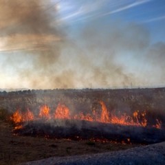 Vasto incendio in un terreno agricolo