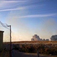Vasto incendio in un terreno agricolo
