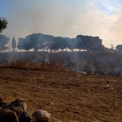 Vasto incendio in un terreno agricolo