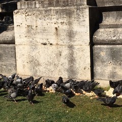 Chili di pane gettati ai piedi della statua di Giovanni Bovio