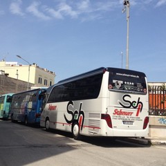 Bus turistici allo sbaraglio