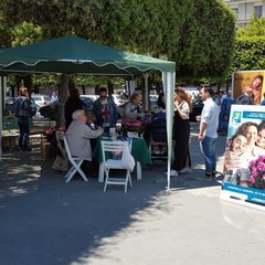 Azalea della ricerca in piazza della Repubblica