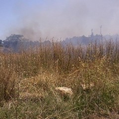 Incendio in un terreno incolto in zona Capirro