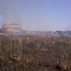 Incendio in un terreno incolto in zona Capirro