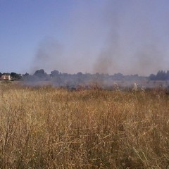 Incendio in un terreno incolto in zona Capirro
