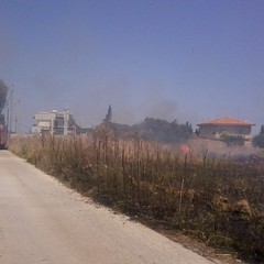 Incendio in un terreno incolto in zona Capirro