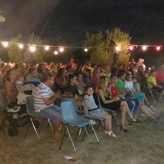 Festival "Il giullare"