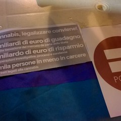 Sì alla legalizzazione della cannabis, raccolta firme di Possibile