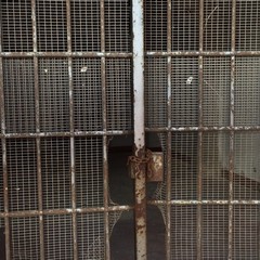 Fondaco dei Longobardi, incerto il destino del palazzo