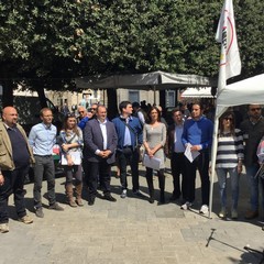 Amministrative 2015, il Movimento 5 Stelle presenta la propria lista