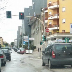 Parcheggi selvaggi: sulla strada regna l'anarchia più totale