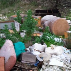 Discarica a cielo aperto all'uscita Trani Nord