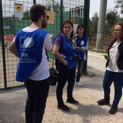 Caos al rifiugio San Francesco, scontro tra l'Oipa e la Lega Nazionale