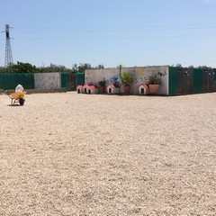 Caos al rifiugio San Francesco, scontro tra l'Oipa e la Lega Nazionale