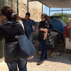 Caos al rifiugio San Francesco, scontro tra l'Oipa e la Lega Nazionale